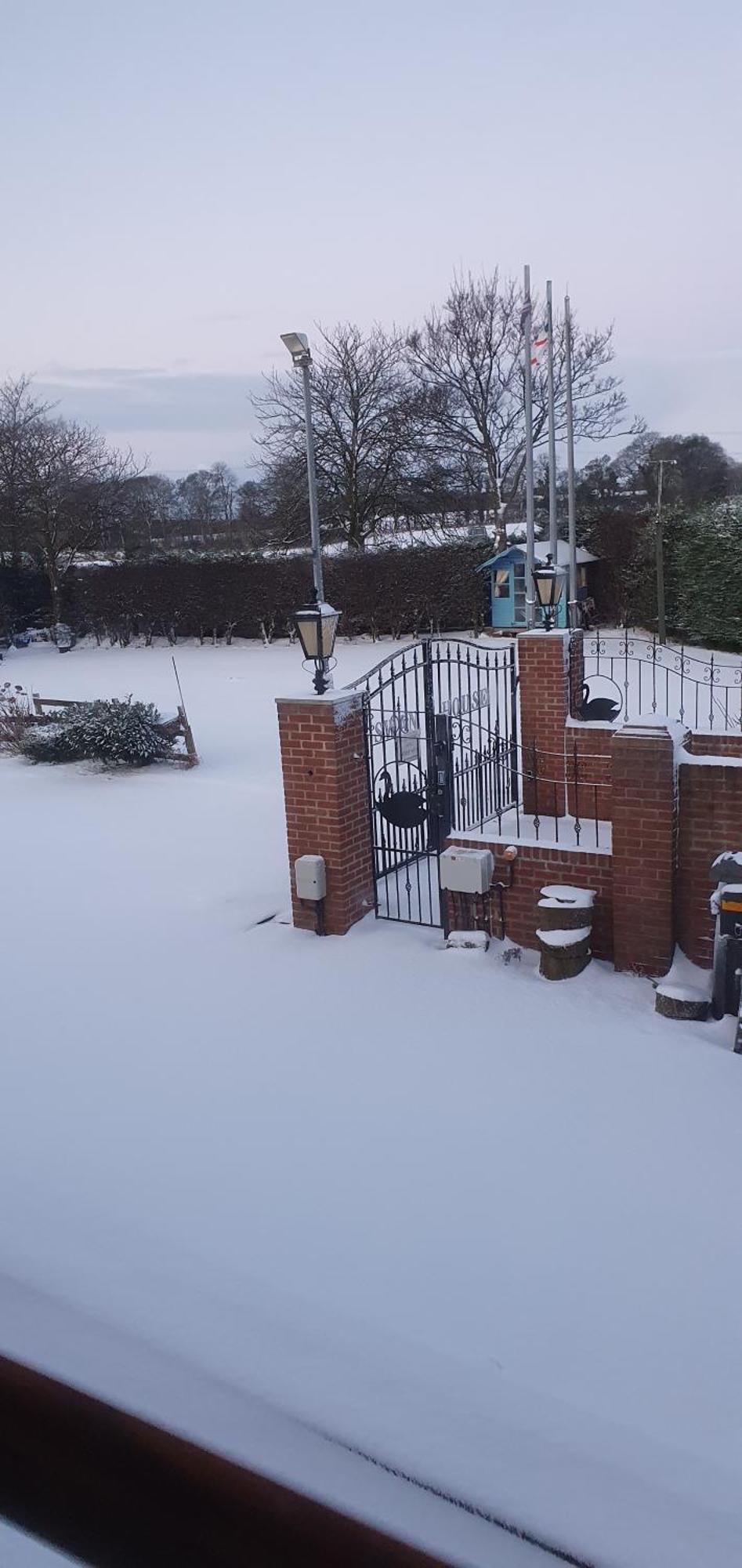 Swan House Bed & Breakfast